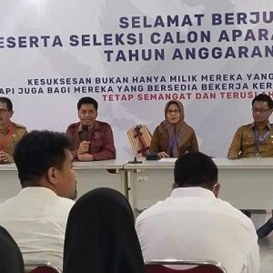 3.806 Tenaga Honorer di Wajo Bakal Berstatus PPPK