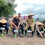 Dukung Swasembada Pangan, Parepare Ikut Sukseskan Penanaman Jagung Satu Juta Hektar