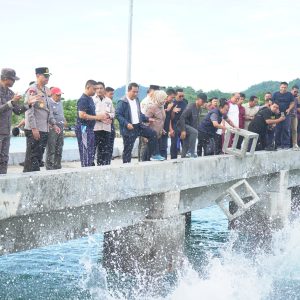 Pj Gubernur Sulbar Bersama Forkopimda Turunkan Seribu Karang Buatan di Teluk Mamuju