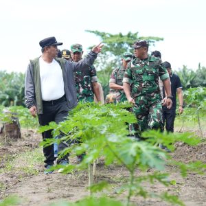 Pj Gubernur Sulbar Tinjau Perkebunan di Beru-Beru