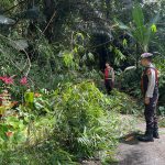 Polres Tator Gercep Bersihkan Pohon Tumbang