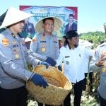 Kapolda Sulsel Panen Jagung di Bulukumba dalam Program Ketahanan Pangan