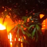 Dua Unit Rumah Terbakar di Kampong Gadde