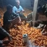 Polres Tator Datangkan Tim Bulog, Cek Kadar Air Hasil Panen Jagung Warga  Bonggakaradeng