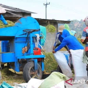 Bulog Jatim Sebut Realisasi Produksi Beras Capai 300 Ribu Ton Hingga April 2025