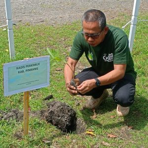 Dinas Perkim LH Pinrang  Tanam  3.500 Bibit Pohon