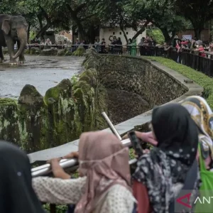 472.000 Pengunjung Padati Wisata Margasatwa Ragunan Selama Libur Lebaran