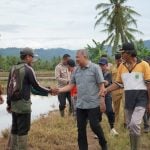 Wabup Pinrang  Dukung Peningkatan Infrastruktur Pertanian