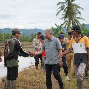 Wabup Pinrang  Dukung Peningkatan Infrastruktur Pertanian