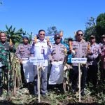 Wabup Takalar Panen Raya Jagung Bersama Forkopimda Takalar