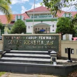 45 Kasus DBD di Wajo Tahun 2025