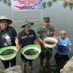 Dukung Ketahanan Pangan, Pemdes Pitue Sebar 50 Ribu Bibit Nila