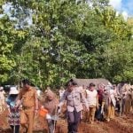 Dinas Pertanian Bulukumba Programkan Gerakan Tanam Jagung