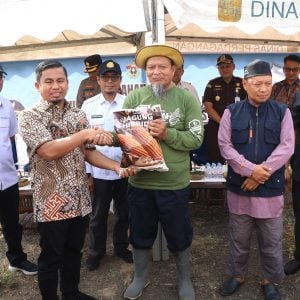 Unhas Serahkan Bantuan Benih Jagung dan DOC Ayam, Wali Kota Berkomitmen Mendorong Kemajuan Sektor Pertanian dan Peternakan