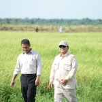 Mentan Ungkap Target Cadangan Beras 4 Juta Ton Tercapai