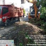 Cegah Banjir, Pemkab Pinrang Kerahkan Alat Berat Bersihkan Drainase