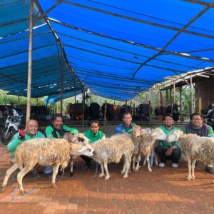 Mitra Grab Kebagian Ratusan Kambing Kurban 