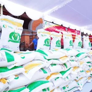 Pemerintah Bakal Salurkan Bantuan Pangan Beras 20 Kilogram pada Akhir Juni