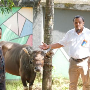 PLN Nusantara Power Serahkan Bantuan Sapi Kurban untuk Warga Kecamatan Soreang