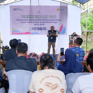 PLN Dukung Perekonomian Petani Banggai Lewat Program “Kopi Batui”, Tanam Harapan di Bawah Menara