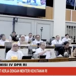 Menhut: Fokus Program Kemenhut di 2026, Aktualisasi Hutan untuk Pangan dan Energi