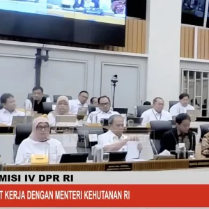 Menhut: Fokus Program Kemenhut di 2026, Aktualisasi Hutan untuk Pangan dan Energi